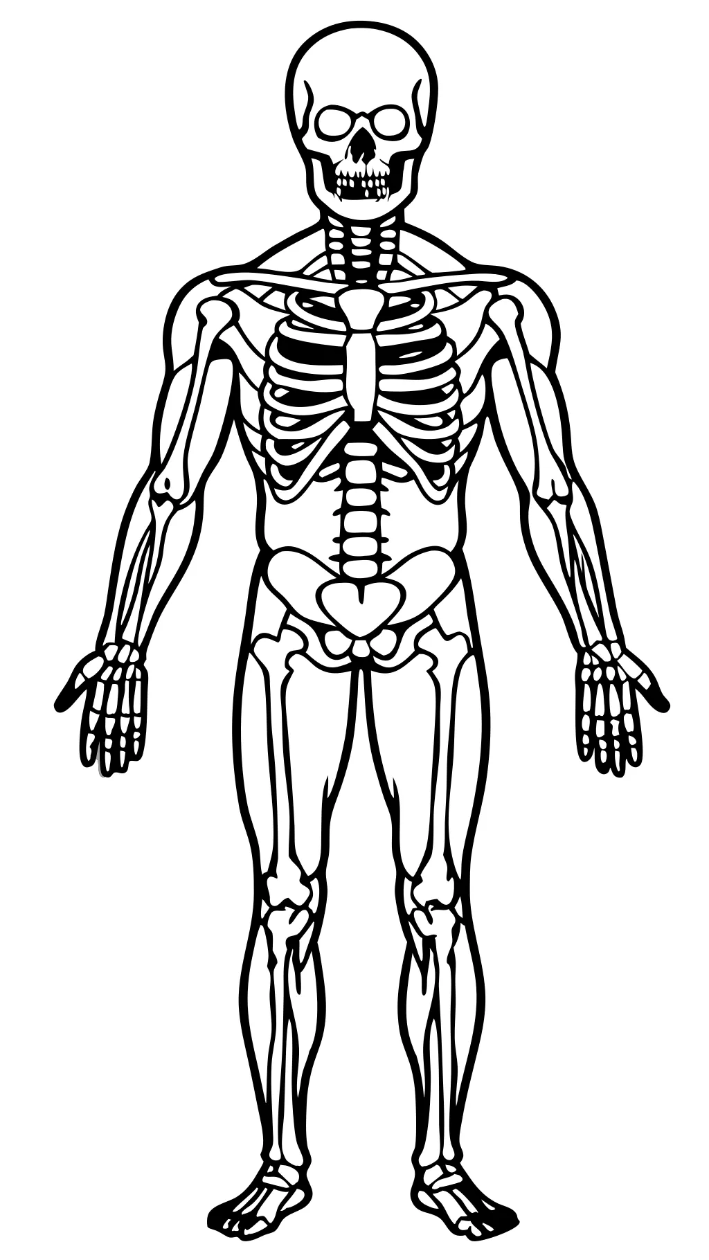 páginas para colorear de anatomía